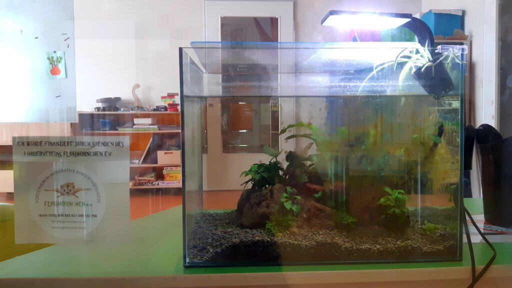 Aquarium-2021